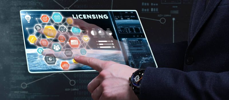 Critical Factors in Business Licenses Explained