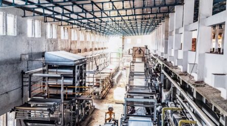 The Role of MSMEs in Industrial Diversification